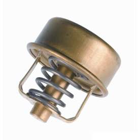 valvula termostatica para pampa del rey pampa 1.6 4x 4 1987 a 1987