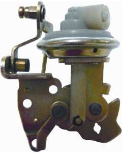 403494