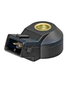 DPL828006