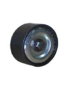 R4454CP